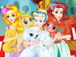 Σαλόνι ομορφιάς για κατοικίδια Princess